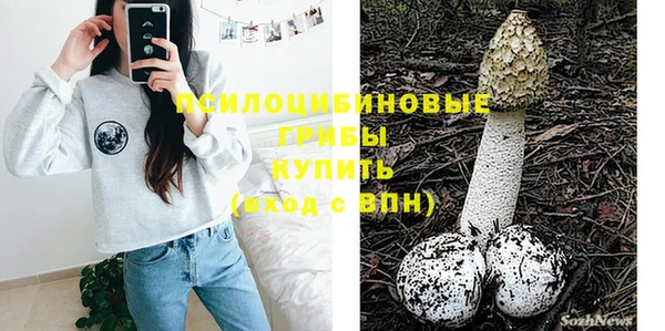 бошки Пестово