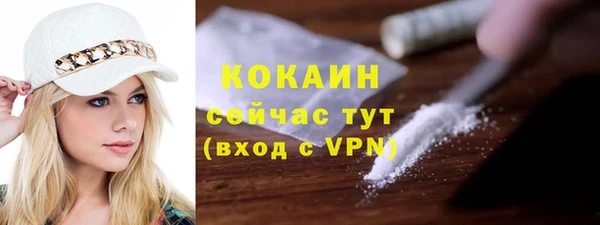 прущие грибы Арсеньев