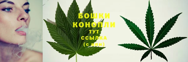 гидра Пересвет