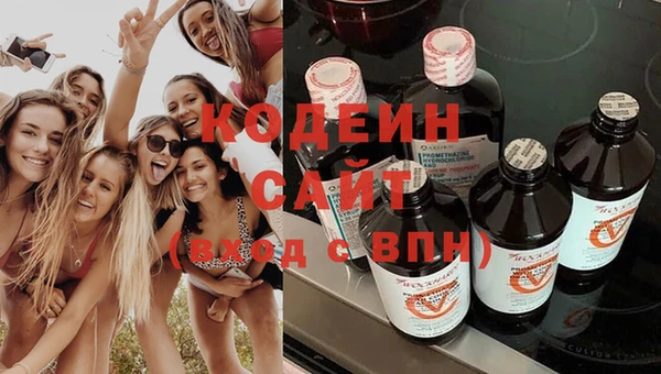 прущие грибы Арсеньев
