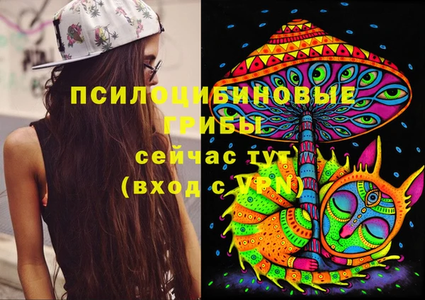 прущие грибы Арсеньев