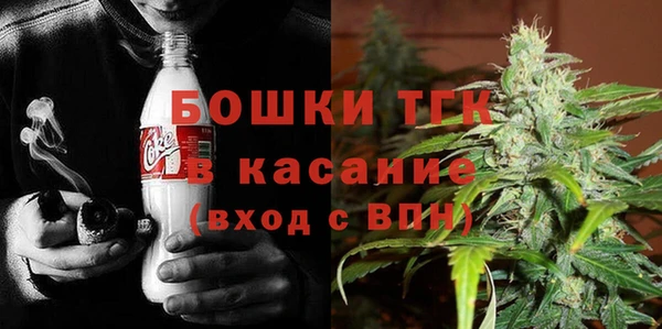 прущие грибы Арсеньев